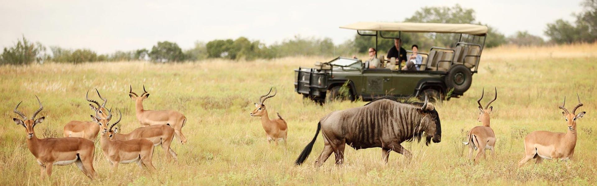 Greater Kruger Park